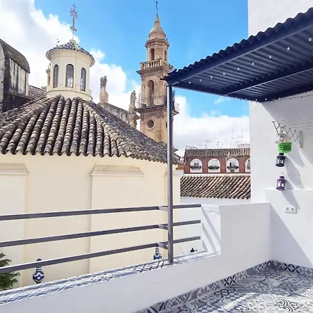 Loft Con Terraza Centro