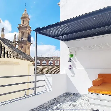 Loft Con Terraza Centro *