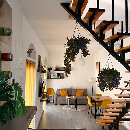 Apartment Loft Con Terraza Centro