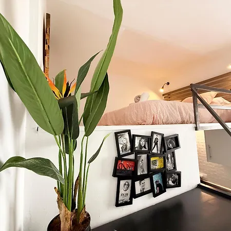 Loft Con Terraza Centro Appartement *